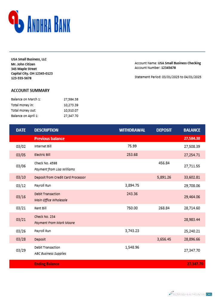 Download Andhra business bank statement Word and PDF format Photoshop template